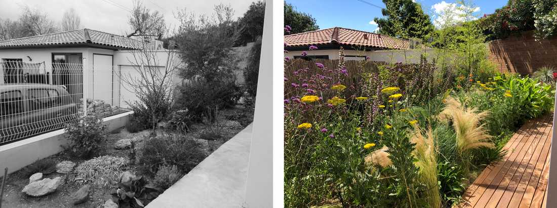 Avant-après de l'aménagement d'une petit jardin dans un lotissement par un paysagiste en Touraine