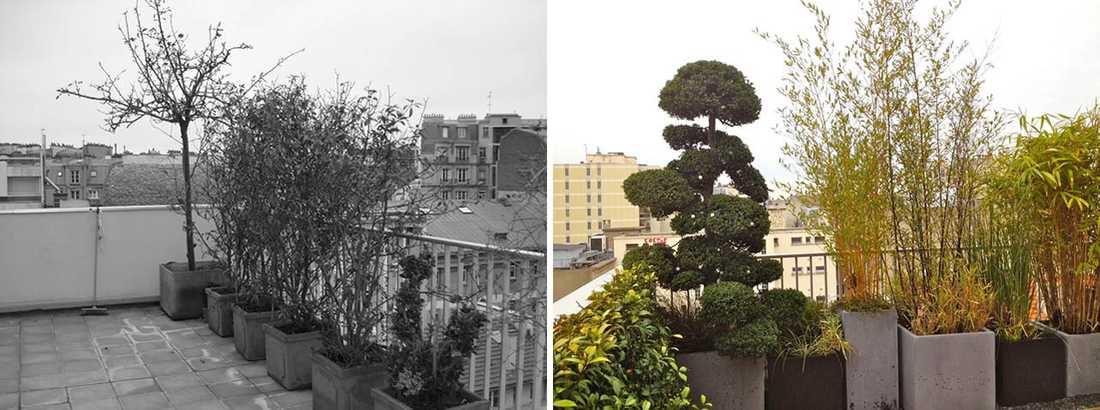 Avant - Après : Aménagement paysagé d'une terrasse avec vue à Tours