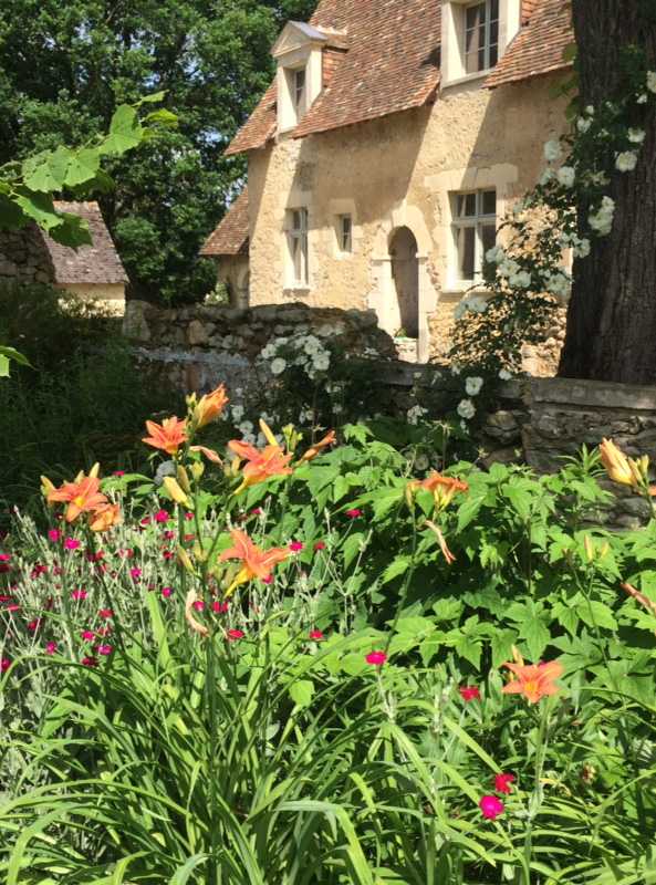 Fleurs d'orangés dans un jardin en Touraine