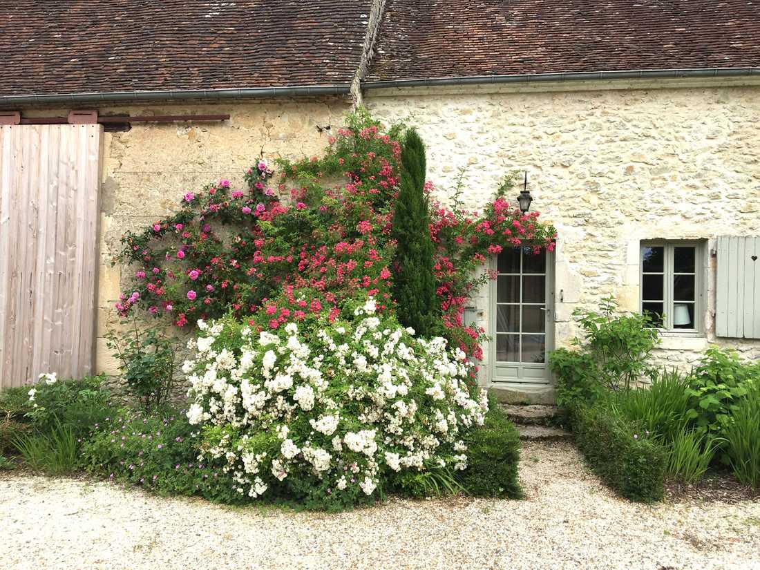 Jardin d'une maison ancienne à Tours