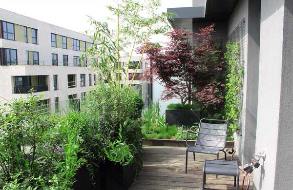 Aménagement paysager de la terrasse d'un penthouse à Tours.