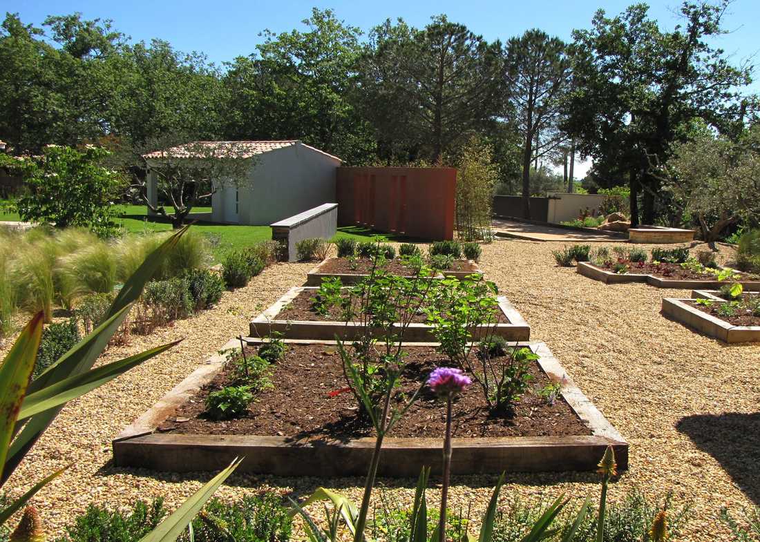 Potager méditerrannéen réalisé par un jardinier paysagiste à Tours